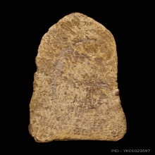 พระรอดพิมพ์ตื้น กรุวัดมหาวัน ตลับทองร้านเท้ง