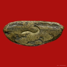 หลวงพ่อเงิน หลวงพ่อชุ่ม วัดท้ายยน้ำ 