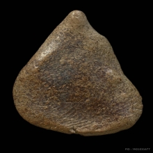 นางกำแพงกลีบบัว กรุท่าเดื่อ กำแพงเพชร