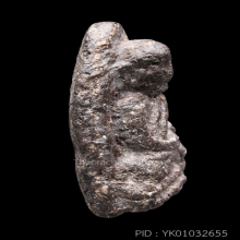 หลวงพ่อทวดเนื้อว่านรุ่นแรก ปี2497พิมพ์ต้อกลาง หายากมากๆ