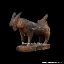 แพะเศรษฐีหลวงพ่อลัด วัดหนองกระบอก จ.ระยอง เนื้อเขาควายแกะ