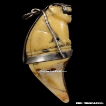 เขี้ยวเสือหลวงพ่อนก วัดสังกะสี ยุคต้นเก่ามาก