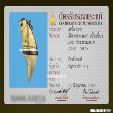 เขี้ยวเสือหลวงพ่อนก วัดสังกะสี ยุคต้นเก่ามาก