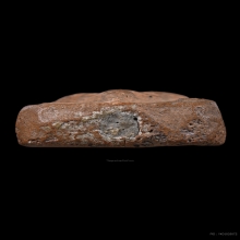 พระหลวงพ่อปาน วัดบางนมโค พิมพ์ทรงนก สมาธิบัวเม็ด