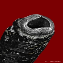 ตะกรุดสาริกา หลวงปู่กลิ่น วัดสพานสูง