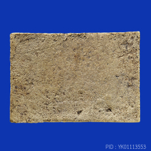 หลวงปู่ภู วัดอินทร์ พิมพ์ไสยาสน์(#1)