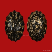 *** องค์ไข่ทอง ***