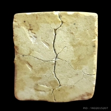 หลวงปู่ดู่พระสมเด็จเนื้อโขลก