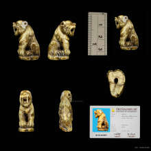 เสือ หลวงพ่อคง วัดวังสรรพรส