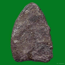 พระเนื้อว่านหลวงปู่ทวด ปี2497 พิมพ์ใหญ่C