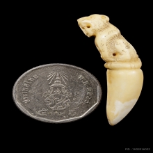 +บัตรสมาคม เขี้ยวแกะ เสือหลวงพ่อคง วัดวังสรรพรส