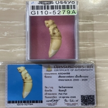 +บัตรสมาคม เขี้ยวแกะ เสือหลวงพ่อคง วัดวังสรรพรส