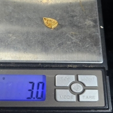 หลวงพ่อเกษม ชุดทองคำ