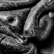 พระปิดตาปลดหนี้ หลวงปู่โต๊ะ องค์ลองพิมพ์ เนื้อดำ