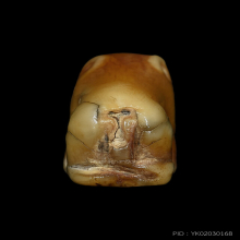 เสือหลวงพ่อปาน วัดคลองด่าน(ศิลป์วัดกลาง) จ.สมุทรปราการ