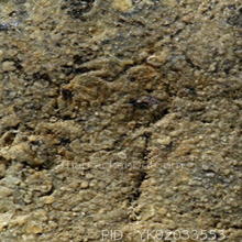 พระปิลันทน์ วัดระฆัง พิมพ์เปลวเพลิงเล็กหลังจาร(#4)