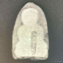 พระเนื้อว่านหลวงปู่ทวด ปี2497 พิมพ์กลางหน้าฤาษี