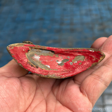 ไม่ทราบที่ 3นิ้ว