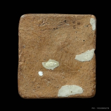 พระประภามณฑล หลวงพ่อช่อง วัดสาลี จ.สุพรรณบุรี