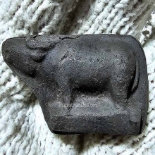 ควายธนู ปู่จันทร์ วัดทุ่งเฟื้อ รุ่นแรก ฐานตรง ล่ำใหญ่ สวยมาก