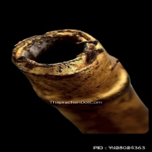 ตะกรุดหนังหน้าผากเสือ หลวงพ่อจง วัดหน้าต่างนอก