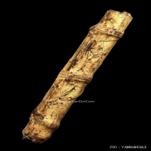 ตะกรุดหนังหน้าผากเสือ หลวงพ่อจง วัดหน้าต่างนอก