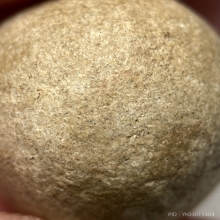 ลูกอมหลวงพ่อสงวน วัดไผ่พันมือ จ.สุพรรณบุรี 