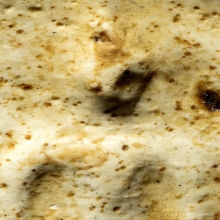 พระสมเด็จบางขุนพรหม พิมพ์ใหญ่ กรุเก่า