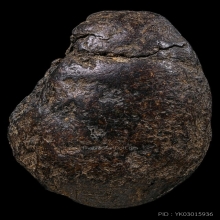 พระปิดตาหลวงพ่อผุด วัดวังเวียนพิมพ์ใหญ่