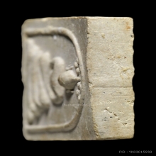 สมเด็จปรกโพธิ์เยือนอินเดียหลวงปู่โต๊ะ