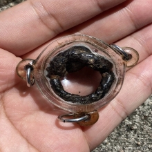 แหวนพิรอด หลวงปู่ม่วง วัดบ้านทวน กาญจนบุรี