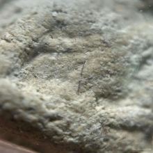 พระนางพญาหลวงพ่อชาญณรงค์รุ่นสุดท้ายปี29