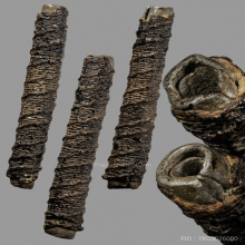 ตะกรุดจันทร์เพ็ญ หลวงปู่ศุข วัดปากคลองมะขามเฒ่า 