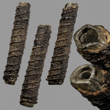 ตะกรุดจันทร์เพ็ญ หลวงปู่ศุข วัดปากคลองมะขามเฒ่า 