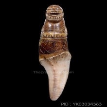 เขี้ยวเสือหลวงพ่อนก วัดสังกะสี ยุคต้นเก่ามาก