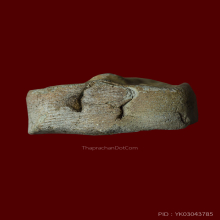 พระหลวงพ่อปาน พิมพ์ไก่หางพวง วัดบางนมโค