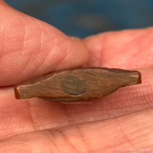 ไม่ทราบที่