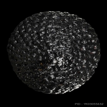 เบี้ยแก้ยุคกลาง หลวงปู่เจือ ปี32 สภาพสวยมาก รองแชมป์งานสมาคม