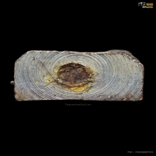 รูปหล่อซุ้มกอหลวงปู่ซิมเนื้อเงินครับ