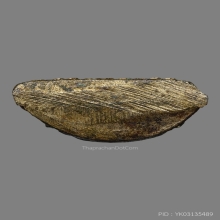 รูปเหมือนปั้ม หลวงพ่อขาว วัดปากแพรก ปี2504 (รุ่นแรก)