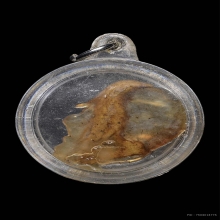 นกสาริกาหลวงพ่อสนิท วัดลำบัวลอย จ.นครนายก