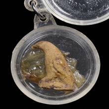 นกสาริกาหลวงพ่อสนิท วัดลำบัวลอย จ.นครนายก