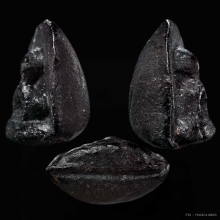 พระปิดตา 