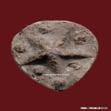 ดาวแม่เนื้อหอม หลวงพ่อผินะ วัดสนมลาว จ.สระบุรี