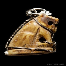 เสืออ้าปาก เขี้ยว เนื้อจัด ไม่ทราบที่ (1)