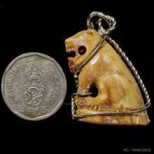 เสืออ้าปาก เขี้ยว เนื้อจัด ไม่ทราบที่ (1)