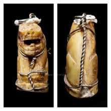 เสืออ้าปาก เขี้ยว เนื้อจัด ไม่ทราบที่ (1)