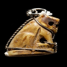 เสืออ้าปาก เขี้ยว เนื้อจัด ไม่ทราบที่ (1)