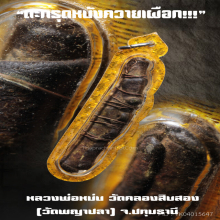 “ตะกรุดหนังควายเผือก” หลวงพ่อหม่น วัดคลองสิบสอง จ.ปทุมธานี