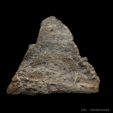 +บัตรสมาคม+ป๋องสุพรรณ นางกำแพงชินเงิน  กำแพงเพชร